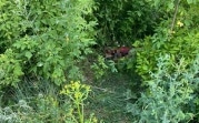 Убил из ревности, спрятал труп на свалке: кимовчанин отправится в колонию на 9 лет