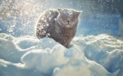 Погода на 4 января: облачно и небольшой снег