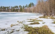 В центральную часть России придет долгожданное тепло
