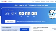 Тульские выпускники могут подать заявление в вуз через Госуслуги