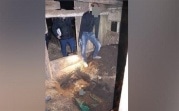 Закопал труп отчима в сарае 8 лет назад: житель Болоховского сделал явку с повинной