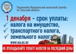1 декабря срок уплаты налогов