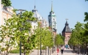 20 мая в Тульской области будет тепло и солнечно