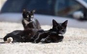 Погода в Туле 8 апреля: до 15 градусов тепла и без осадков