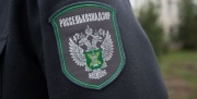 Администрацию богородицкого муниципалитета наказали за неухоженные земли