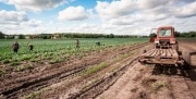 В России женщинам из сельской местности сократили рабочий день