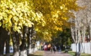 Погода в Тульской области 31 октября: небольшой дождь и до +9°С