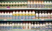 С полок магазинов пропадут Activia и Actimel