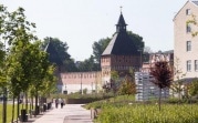 Погода в Тульской области 30 июня: тепло и облачно