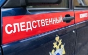 В Плавском районе из-за схода снега с крыши погиб 10-летний ребёнок