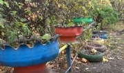 Туляков будут штрафовать за скульптуры из покрышек