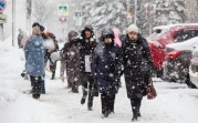 Погода в Туле 17 января: мороз и метель