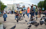 Новомосковску присвоят звание «Город трудовой доблести»