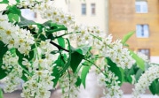 Синоптики сделали прогноз на май