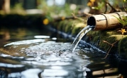 Тулякам напомнили правила по использованию воды из родников