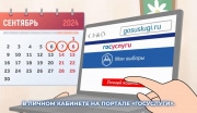 Выборы в Тульской области: где узнать адрес избирательного своего участка?