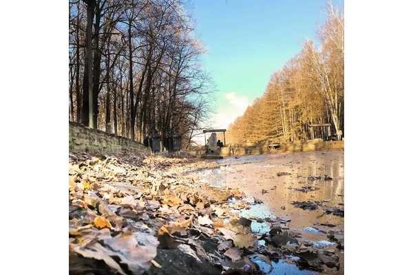 В Тульскую область идут ночные заморозки