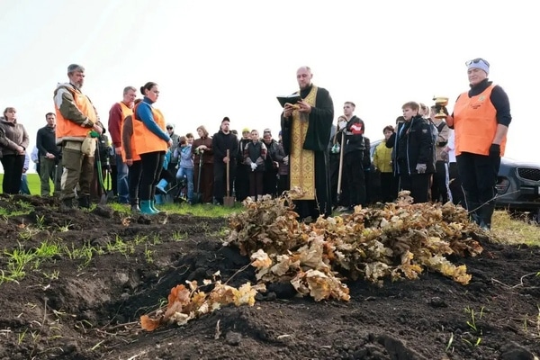 Возрождая ландшафт XIV века: на Куликовом поле высадили 5,5 тысячи дубов