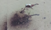 Покушение на убийство в Узловой: возбуждено уголовное дело
