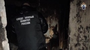 Узловчанин пытался убить знакомую, отказавшуюся заняться с ним сексом