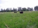 Предприятие Тульской области перешло на выпуск экологически чистой продукции