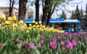 11 мая в Туле ожидается до +18 градусов
