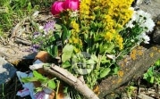 Убийство школьницы в Тульской области: что известно на данный момент