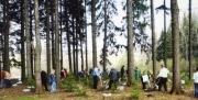 В Ясной Поляне открывается волонтерский сезон