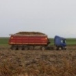 В хозяйствах Новомосковска получен хороший урожай картофеля
