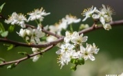 Погода в Тульской области 7 мая: гроза, ветер и небольшие осадки
