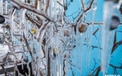 Погода в Тульской области 25 января: без осадков, переменный ветер, до -16 градусов