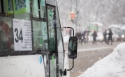 Погода в Туле 15 января: метель, ветер и до -6