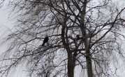 Погода 10 апреля: в Туле облачно и до +15⁰С