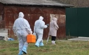 В Тульской области – новый антирекорд по количеству заражений COVID-19