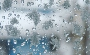 Погода в Тульской области 13 февраля: снег с дождём, туман и до +2
