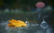 Погода в Тульской области 4 октября: облачно, дождливо, до +16