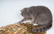 Их продолжают подделывать! В Тульской области обнаружены 22 фальшивые монеты