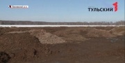 Кучи дохлых кур нашли в поле в Тульской области
