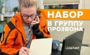 Тульский отряд «Лиза Алерт» объявил о наборе волонтеров в инфогруппу