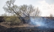 Какие меры нужно соблюдать тулякам во время пожароопасного периода
