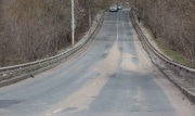В Тульской области навигаторы будут предупреждать водителей о диких животных
