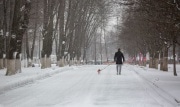 Россиянам раскрыли прогноз на предстоящую зиму