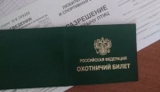 Тульские охотники могут получить разрешение на добычу кабана