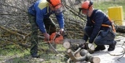 98 тысяч жителей Тульской области приняли участие в субботнике
