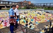В Новомосковске незаконно сжигали столичные медицинские отходы