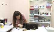 В регионе активизировались клещи: как обезопасить себя и домашних питомцев