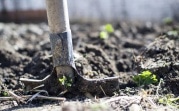 В Узловском районе рядом с селом нашли череп, которому не менее четверти века