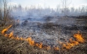 В регионе сохраняется высокий уровень пожароопасности