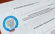 Как тулякам оплатить все налоги за один раз: разъяснения ФНС России