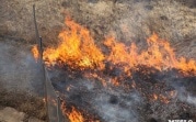 В Тульской области объявлена высокая степень пожароопасности